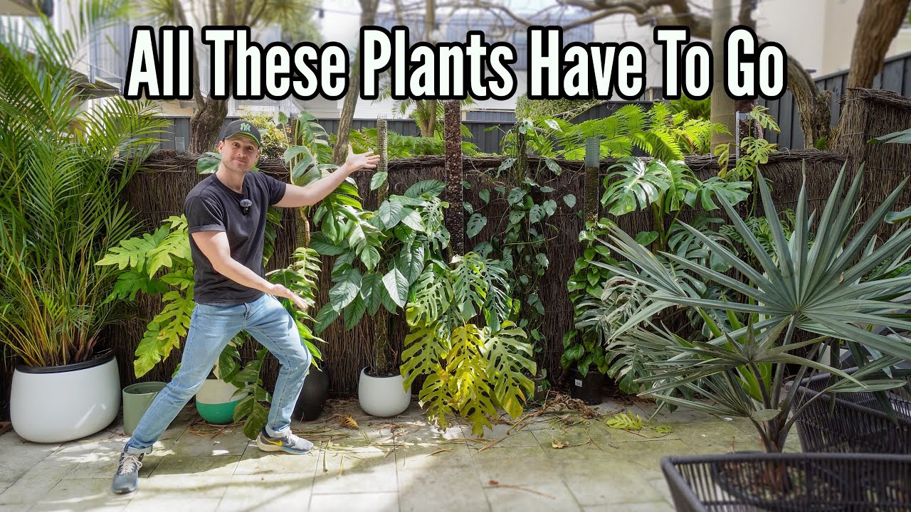 YouTube post by @sydneyplantguy for Soltech. Caption reads: Saving my Garden from getting destroyed! .