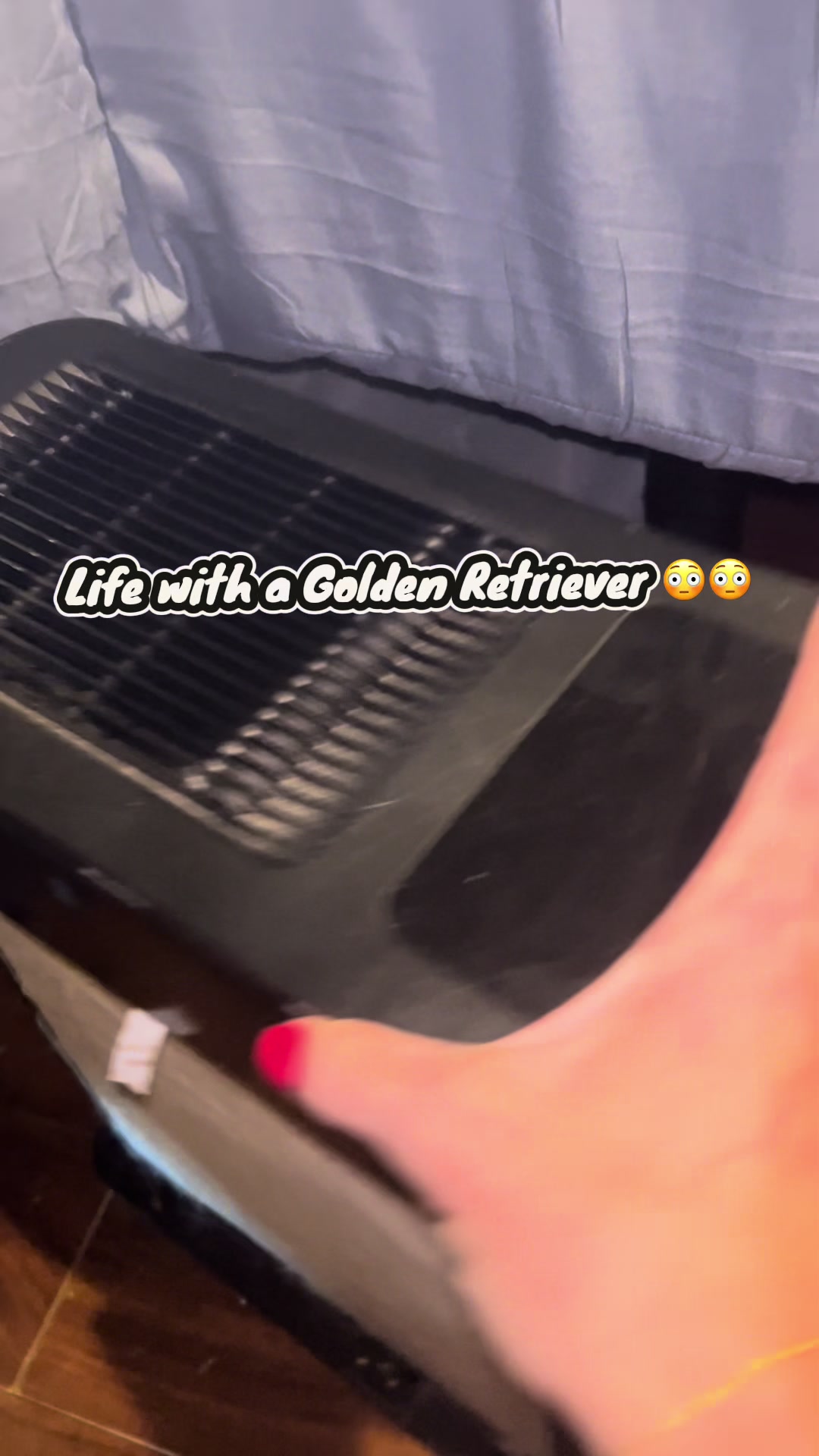 TikTok post by @alexandriacook95 for ToLife. Caption reads: @ToLife US soooo glad I have this air purifier!....
