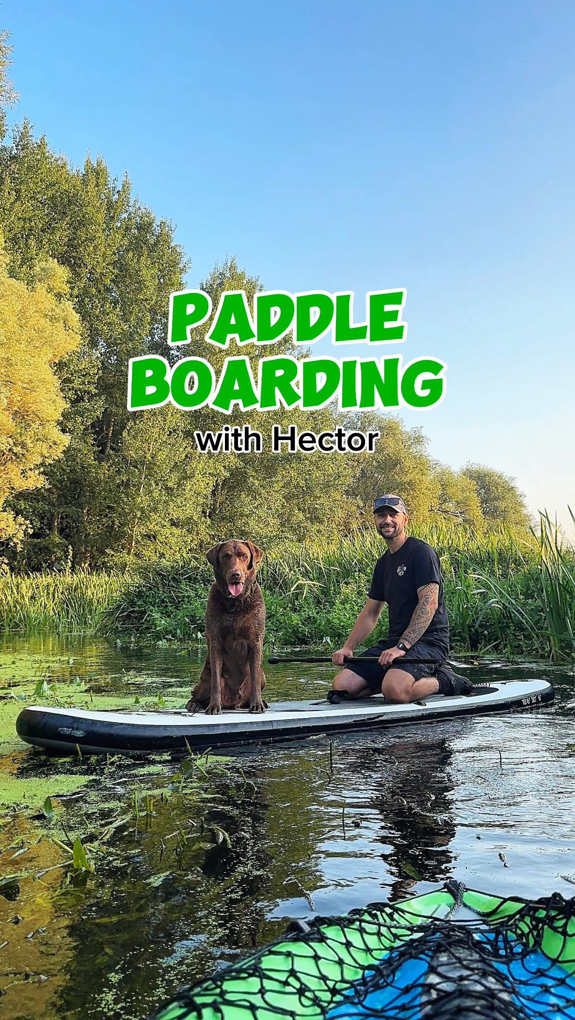 Instagram post by @hectorthechocolabo for Butcher's Dog Food. Caption reads: Who wants to go paddle boarding with Hector? 🐶 💦....