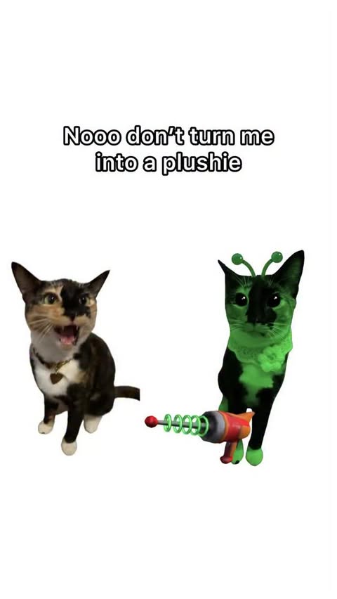 Instagram post by @cultofbiscuit for Makeship. Caption reads: IT’S HAPPENING 🗣️ Biscuit is partnering with....