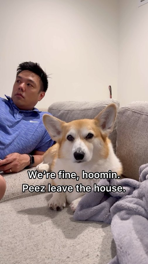 Instagram post by @mapleandmortycorgi for Enabot. Caption reads: [...] the end of the world - introducing the....