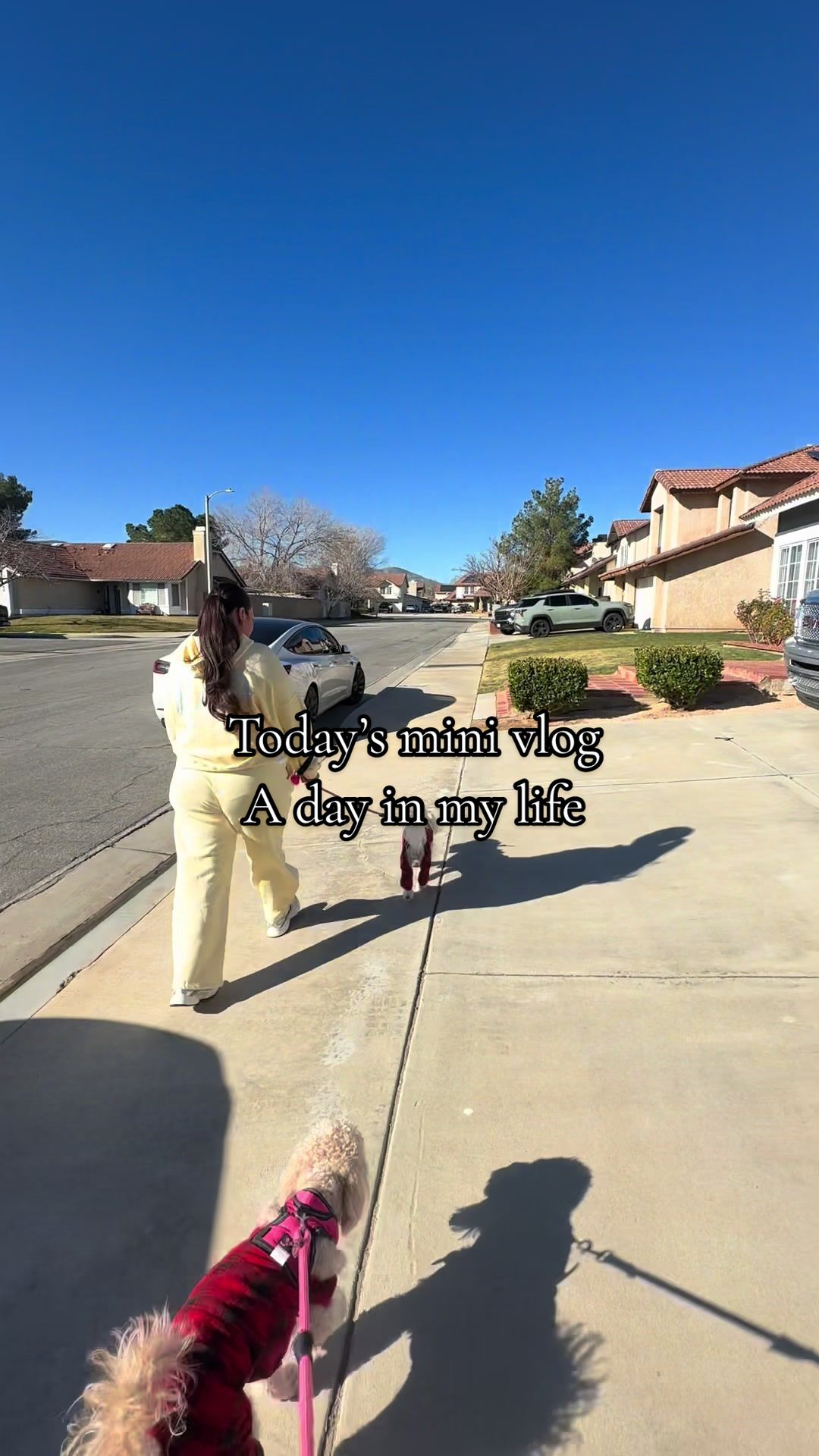 TikTok post by @lifeof_erika for MIXIK SKIN. Caption reads: [...] a day in my life (un dia en mi vida) @MIXIK....