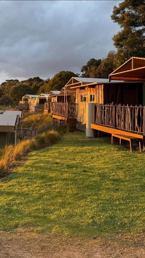 Instagram post by @melbournewithkidz for Visit Melbourne. Caption reads: 🦁 SLEEP AT THE ZOO! Ever dreamed of waking up to....