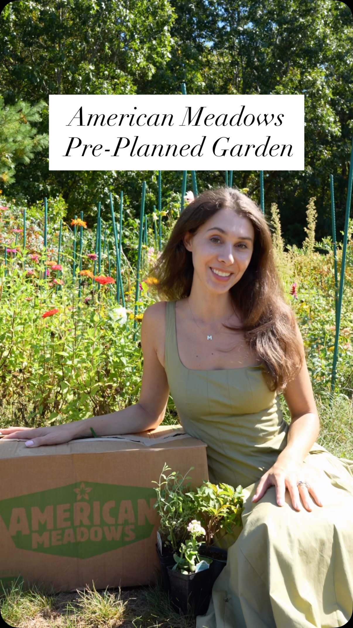Instagram post by @blueacregarden for American Meadows. Caption reads: [...] is for planting perennials with American....