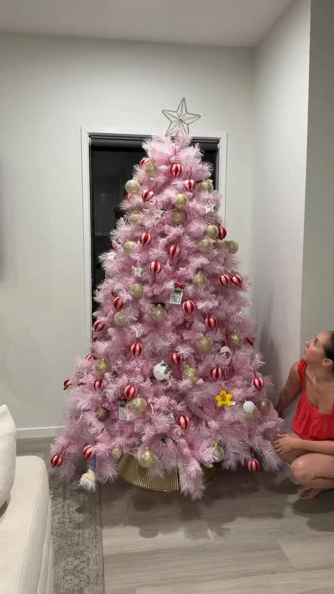 Instagram post by @kaylajbrannan for Bluey. Caption reads: Twas the night before Bluey Christmas...and thank....