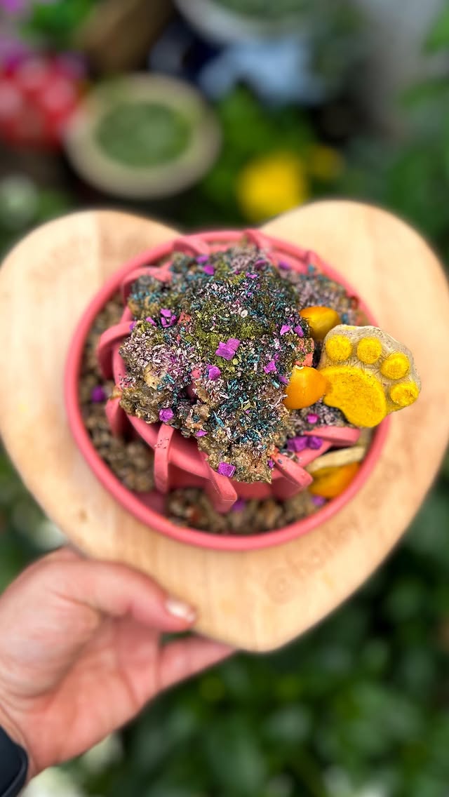 Instagram post by @harley_and_zola for Fur the Love of Toys. Caption reads: 🎀Zola - Trying out the Freezlava our newest bowl....