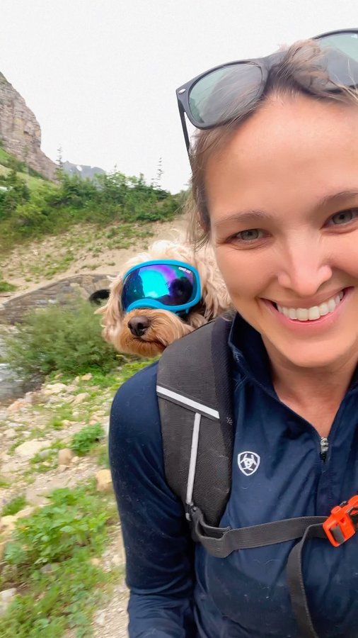 Instagram post by @tailswithnicole for ZIWI Pet Food. Caption reads: 🏞️ Nutrition is extremely important to me as are....