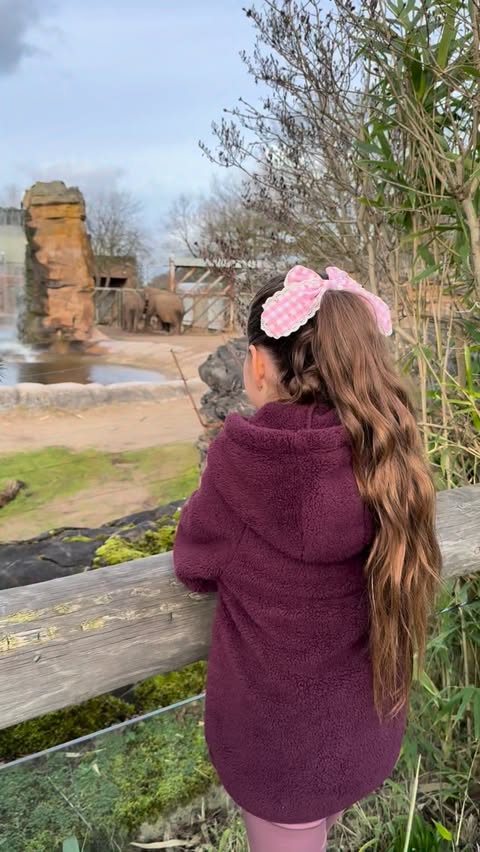 Instagram post by @adventures_with_the_reardons for Chester Zoo. Caption reads: [...] gentle movement, and time with nature....