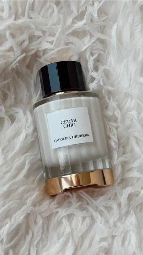 Instagram post by @nori for Carolina Herrera. Caption reads: All I want for the holidays is @carolinaherrera 💫....