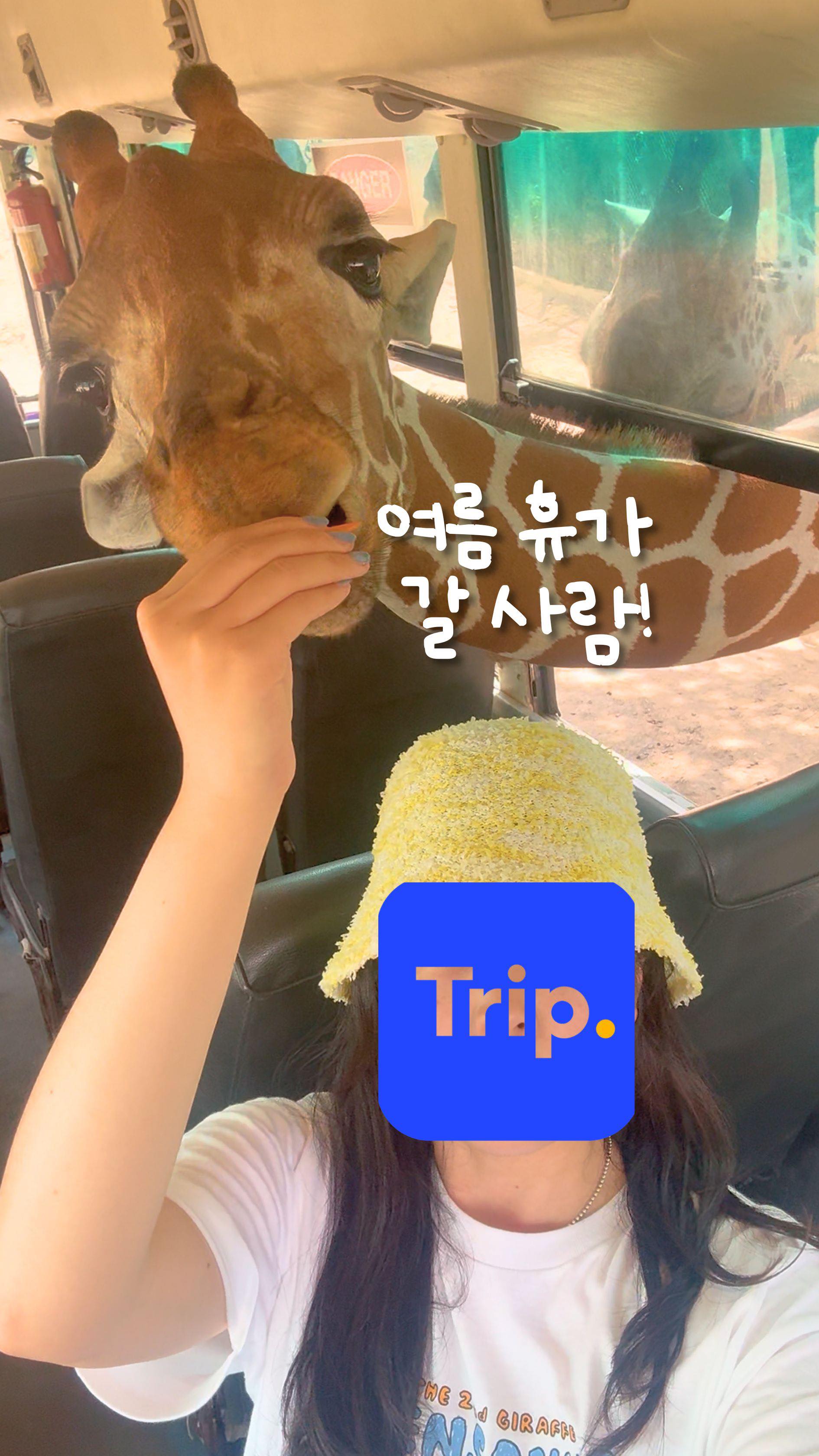 Instagram post by @cruise_ssun for TRIP. Caption reads: 단 4일간, 여름휴가비 1억 쏜다 

이번에 트립닷컴(@trip)에서
 <7.7메가세일>....