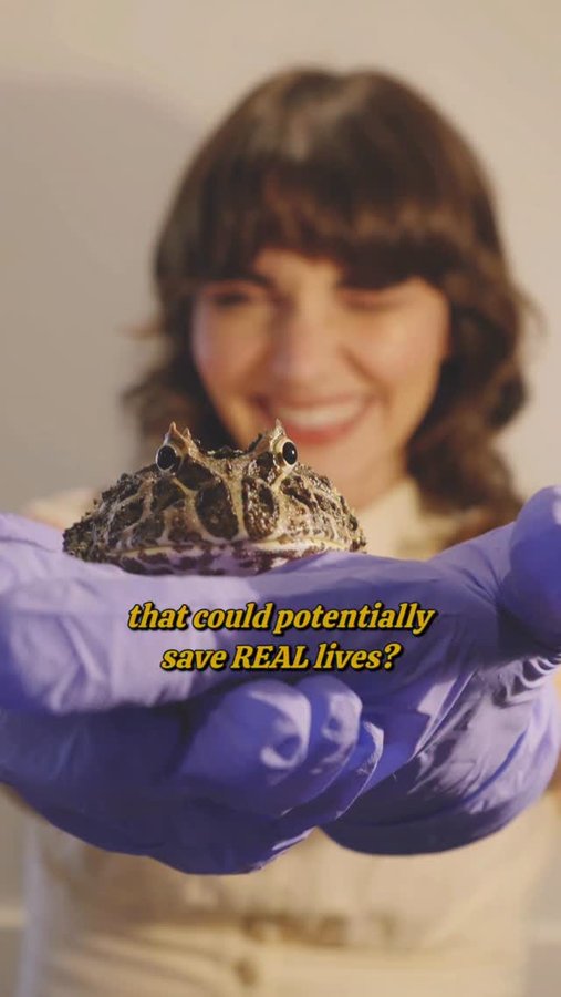 Instagram post by @sydtrip for American Red Cross. Caption reads: Power Up IRL! As a #AmericanRedCrossPartner, I’m....