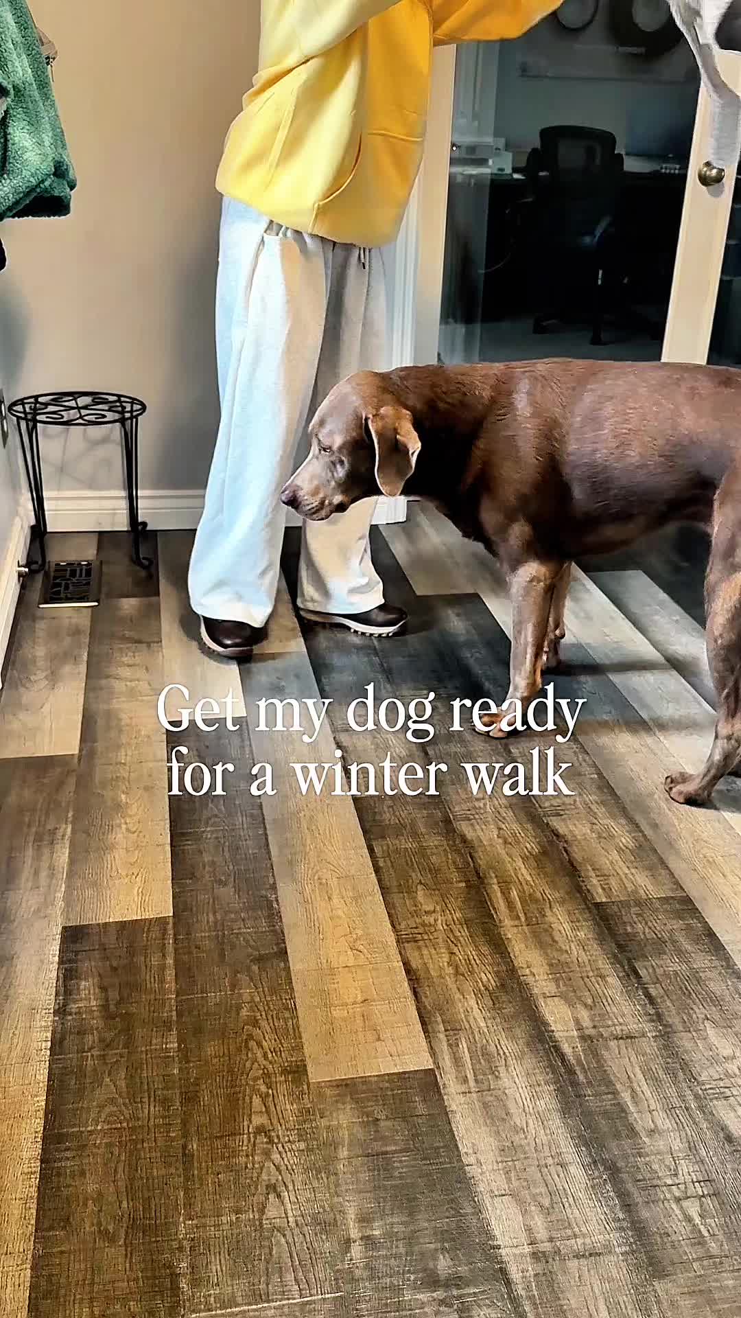 TikTok post by @ghost_labrador for ShopHDE. Caption reads: [...] cute faux fur puffer jacket for pups....