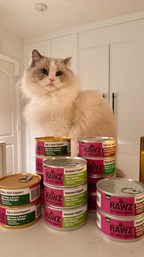 Instagram post by @its_bennetttt for RAWZ Natural Pet Food. Caption reads: Our pets rely on us to keep them healthy, & I....