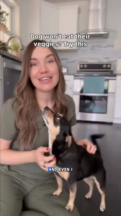 Instagram post by @doctorwolfe.dvm for Fera Pets. Caption reads: [...] need is yogurt, blueberries, water &....