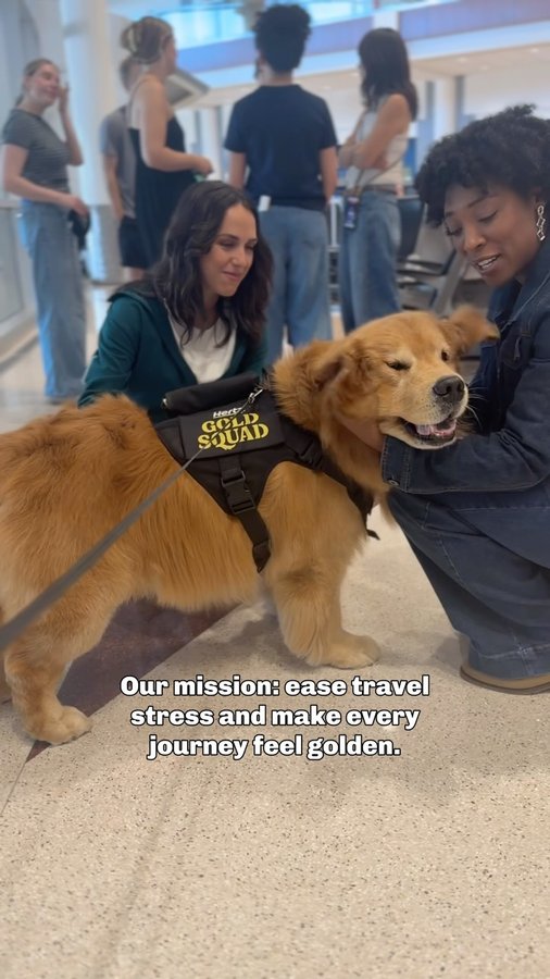 Instagram post by @cooper.thegoldenboy for Hertz. Caption reads: Today I’m on duty with the #HertzGoldSquad at DFW....