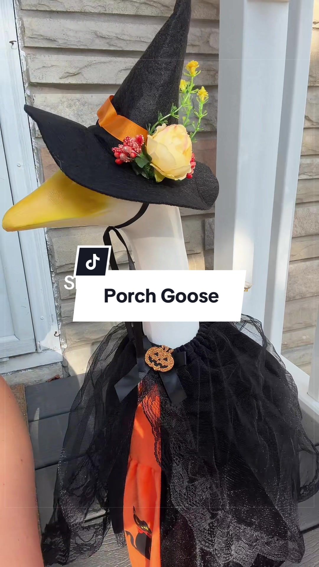 TikTok post by @besties_broadcast for Spreetail. Caption reads: [...] #porchgoosefam #falldecor #goose @Spreetail.