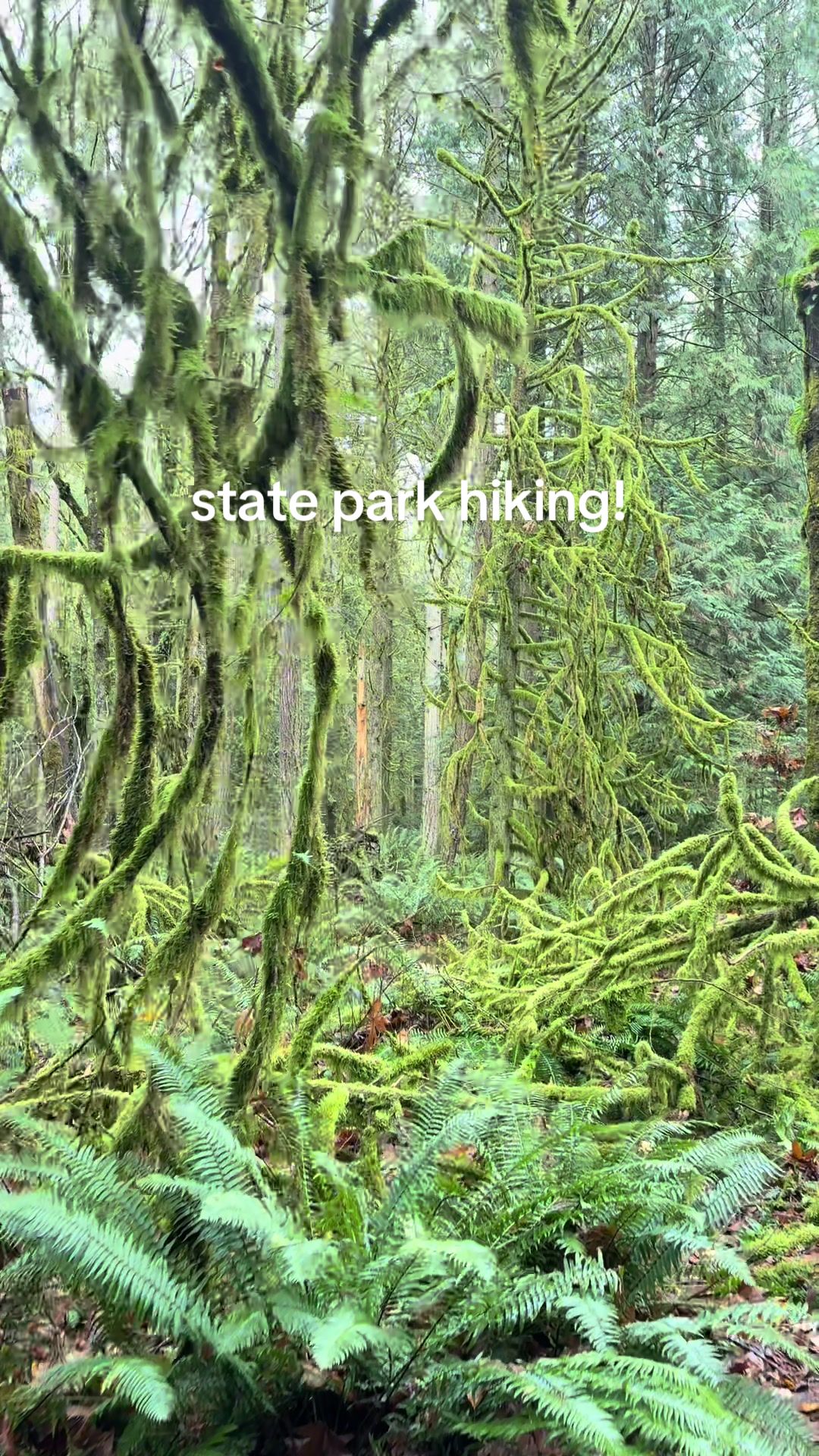 TikTok post by @madstreks for toolant. Caption reads: [...] nicely marked trails to follow! @toolant....