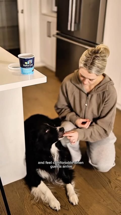 Instagram post by @curedbydogs for NaturVet. Caption reads: Having guests over for the holidays, but have an....