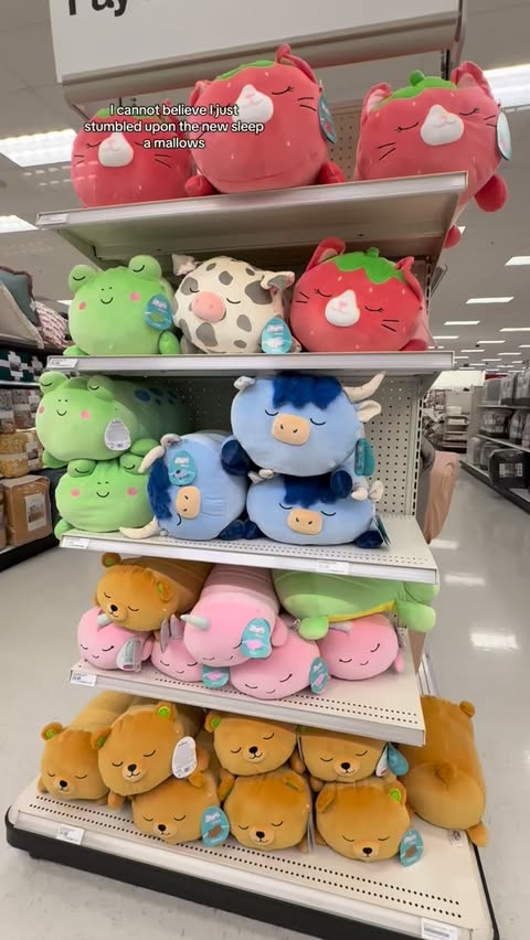 Instagram post by @danisquishie for Squishmallows. Caption reads: Weighted sleepamallows…!?! I knew there was a new....