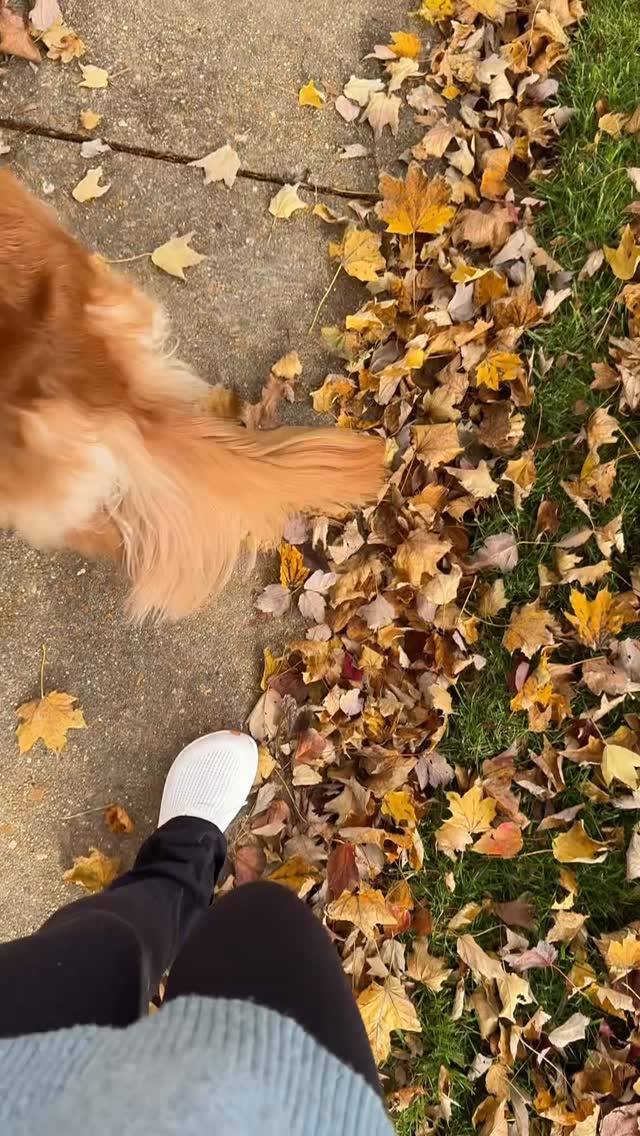 Instagram post by @goodlifebygrace_ for Magic Spoon. Caption reads: Lucy’s thoughts on going on a walk are my thoughts....