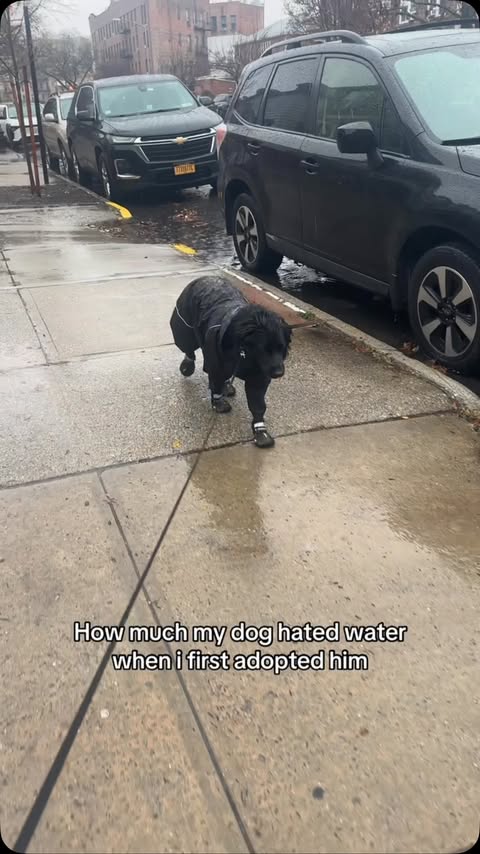 Instagram post by @grimtheozzy for Sniffspot. Caption reads: [...] come with loving water now thanks to....