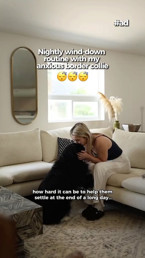 Instagram post by @curedbydogs for DreamBone Chews. Caption reads: @dreambonechews #ad | When you have a high-energy....