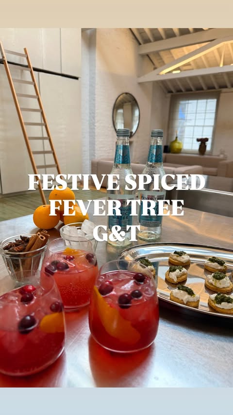 Instagram post by @dishy_london for Fever-Tree Mixers. Caption reads: [...] festive G&T’s using the best....