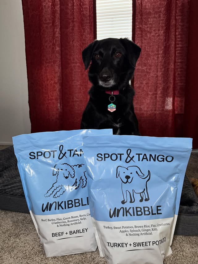 Instagram post by @pawsup4treats for Fi. Caption reads: [...] to try Spot & Tango, and thanks to this Fi....