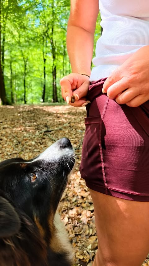 Instagram post by @alwaysdogfriendly for Halara. Caption reads: [...] out some of the 2-in-1 shorts from....
