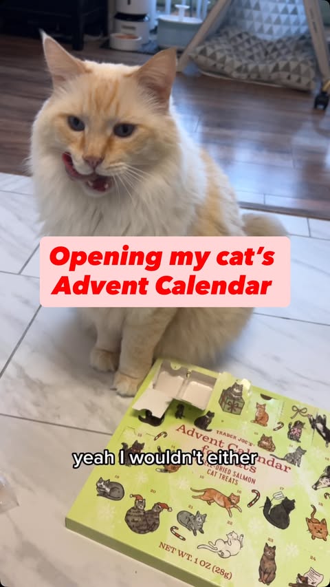 Instagram post by @travelcatmom for Trader Joe's. Caption reads: @traderjoes why you do us like [...].