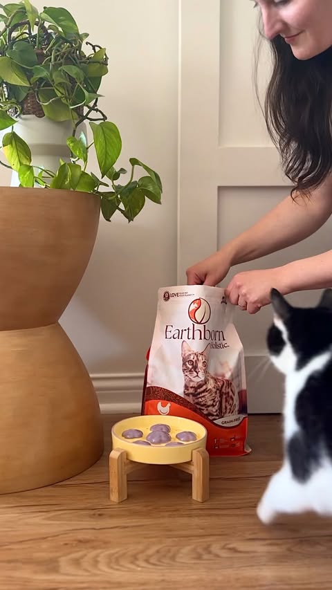 Instagram post by @charlieandcrewmama for Earthborn Holistic Pet Food. Caption reads: Let’s plant trees for Earth Day 🌳🌲#ad For every....