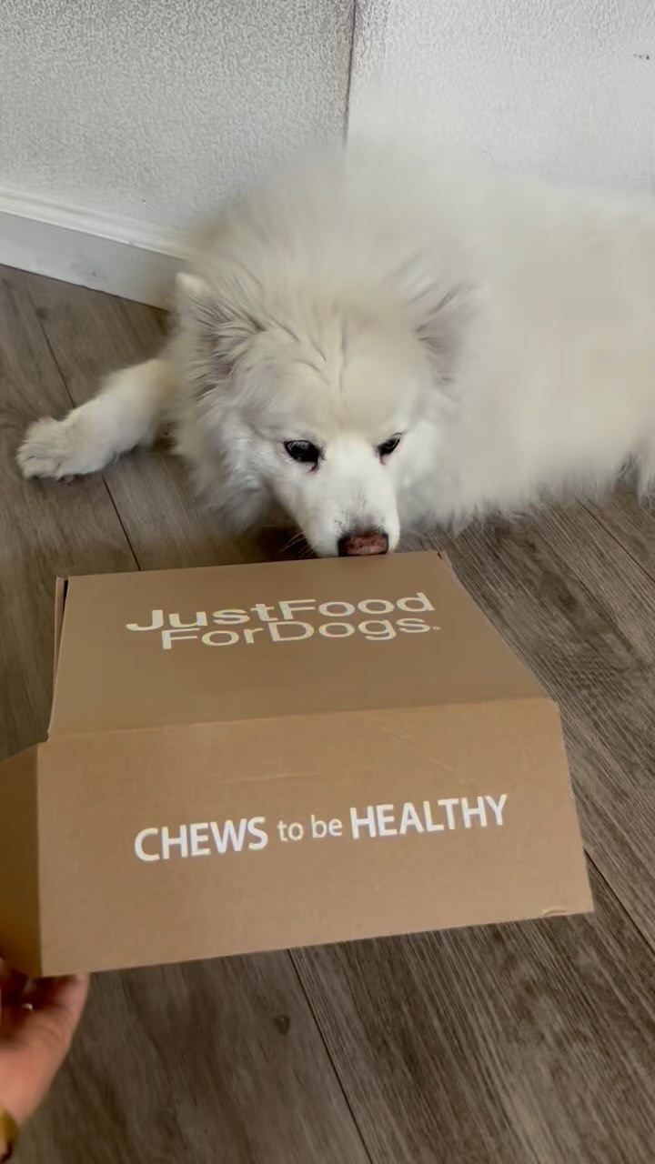 Instagram post by @siliconvalleyfamily for JustFoodForDogs. Caption reads: Unboxing alert: Ruckus can have up to 2 tabs a day....