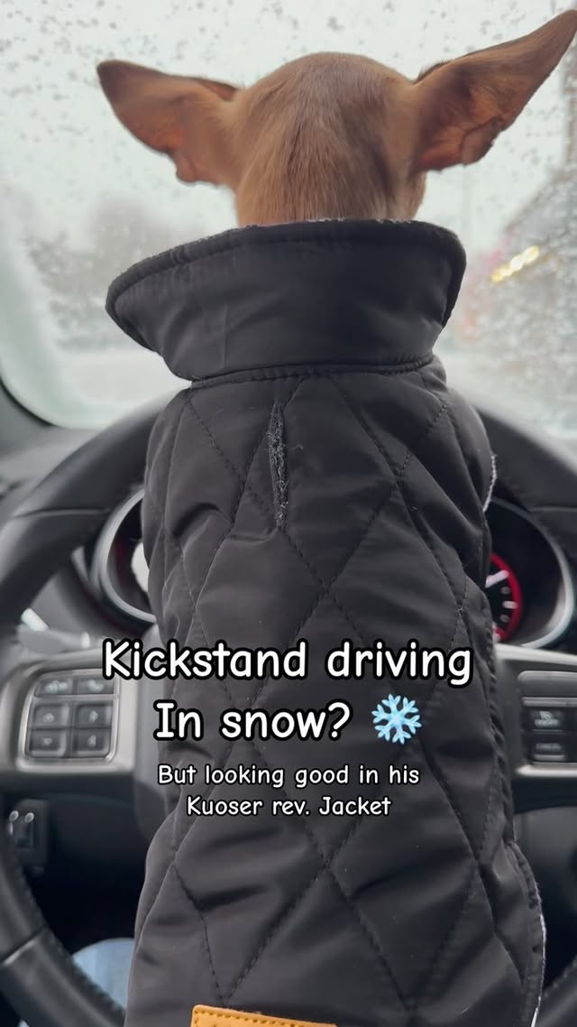 Instagram post by @tiktok_hotrod552 for Kuoser. Caption reads: KICKSTAND DRIVING? ❄️ lookin good in....