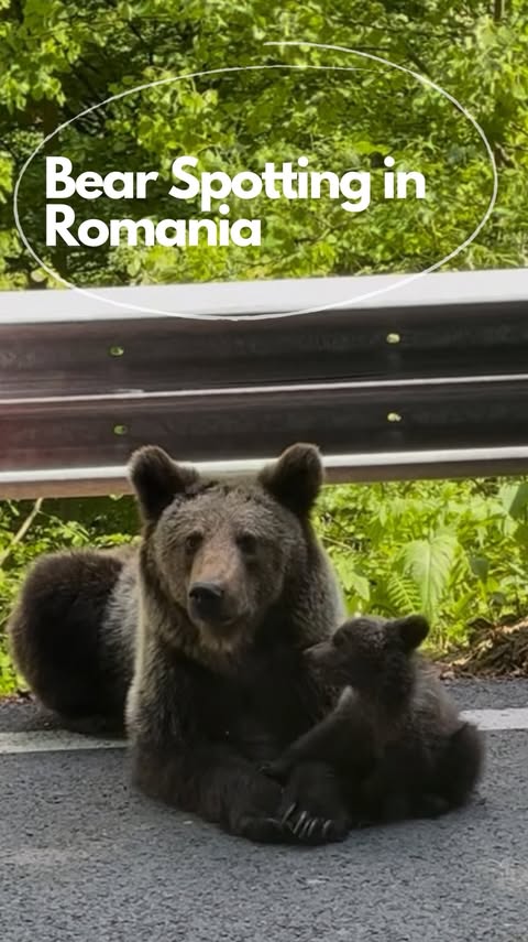Instagram post by @abbieorrelll for GetYourGuide Creator Community. Caption reads: If you're visiting Romania, put the Transfăgărasan....