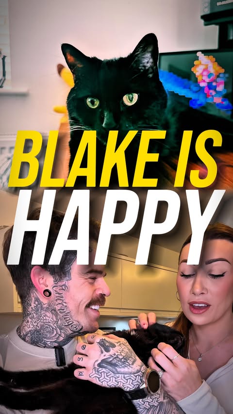 Instagram post by @alexisblakeofficial for KatKin. Caption reads: [...] son Blake getting on with switching to....