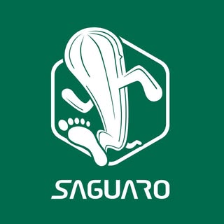 Saguaro Shoes