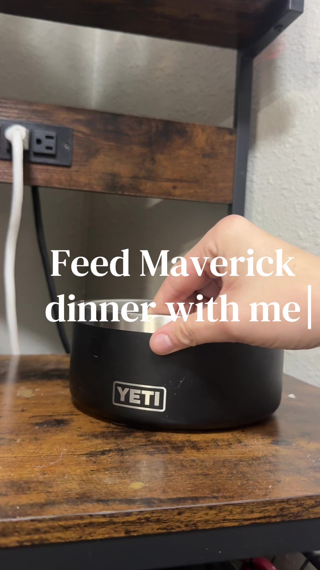 TikTok post by @maverick.thecatahoula for Badlands Ranch. Caption reads: [...] @Open Farm Pet beef recipe and @Badlands....