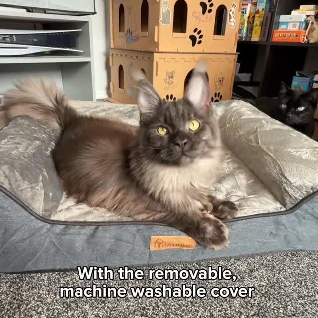 Instagram post by @kit.has.cats for YITAHOME. Caption reads: If your cat is a professional napper, this bed is....