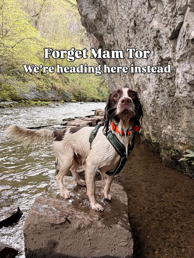 Instagram post by @petgevityuk for Dog Furiendly - Dog Friendly Places. Caption reads: This Peak District dog walk has a bit of....