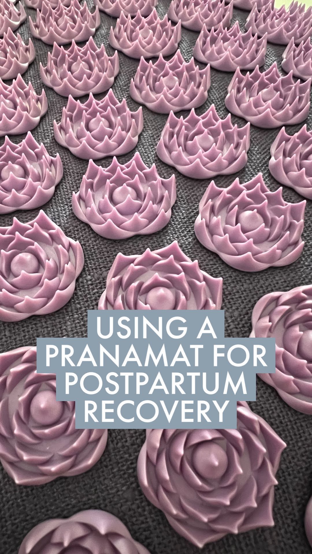 Instagram post by @the.organimama for Pranamat. Caption reads: Have you heard of this 🤯

I have been SO....