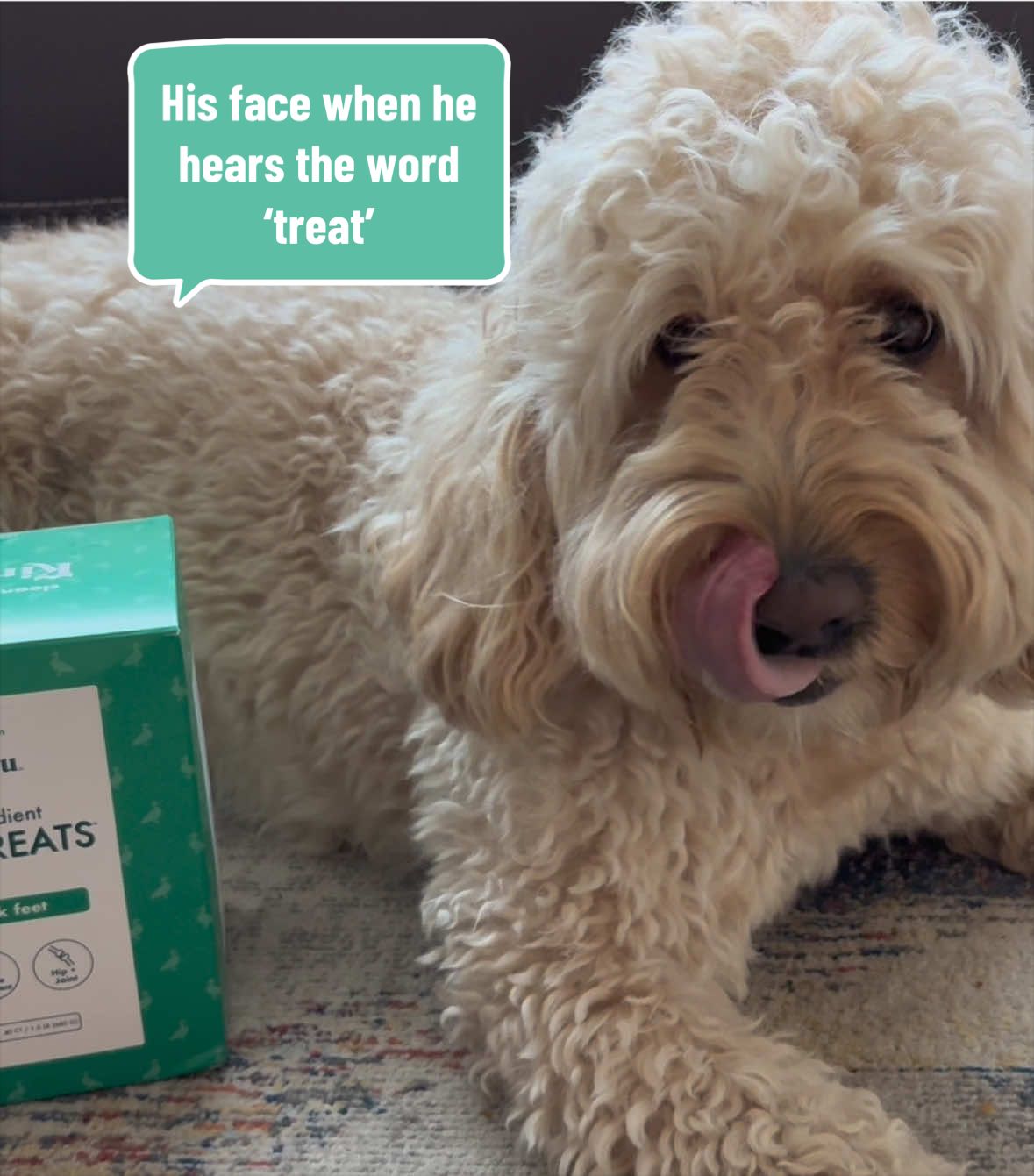 TikTok post by @worldofoso for King Lou. Caption reads: [...] #healthydogchews @King Lou #petsoftiktok.
