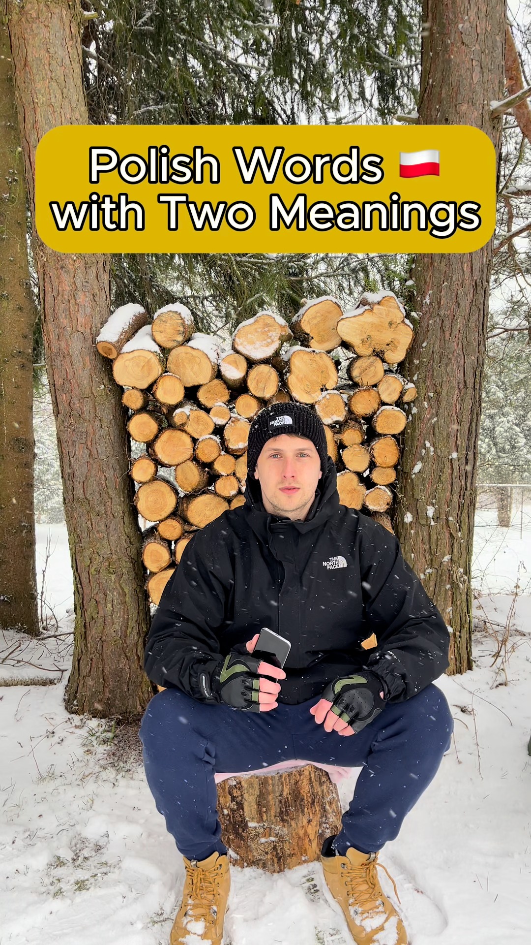 Instagram post by @nordic.tale for Rosetta Stone. Caption reads: These 10 #Polish words have more than one meaning!....