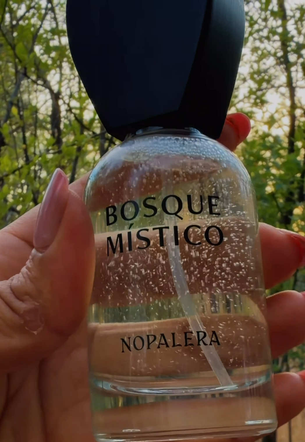TikTok post by @karenblanco_ for NOPALERA. Caption reads: #prgift 💚 @Nopalera Bosque Místico gives mystical....