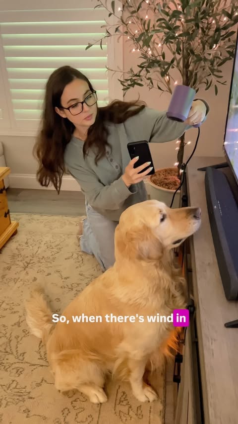 Instagram post by @watchwithbruce for Uahpet. Caption reads: [...] room. That is why we have been using the....