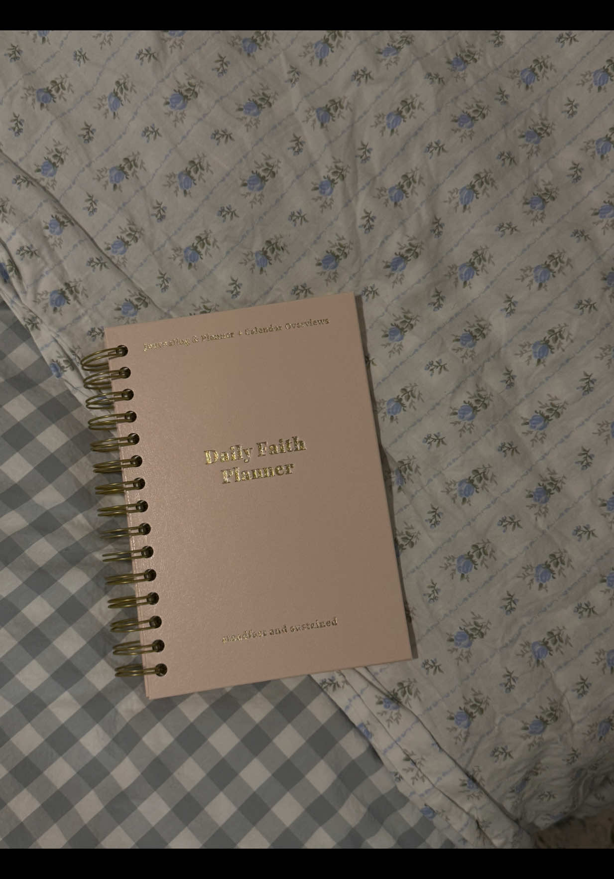 TikTok post by @aalexismadison for Steadfast and Sustained. Caption reads: [...] #dailyplanner #christiantiktok @Steadfast....