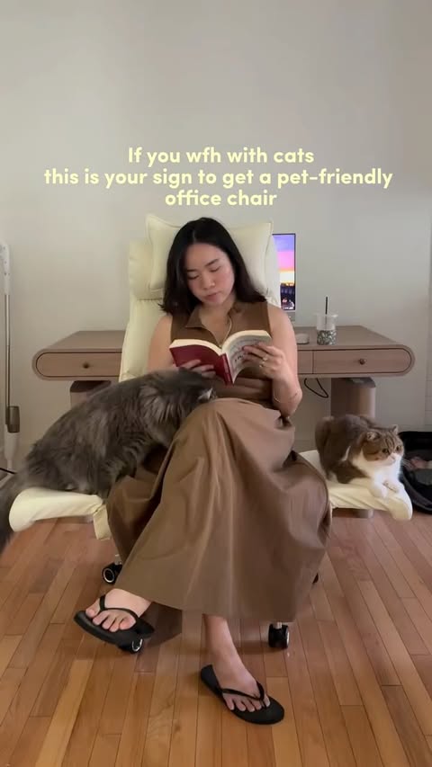 Instagram post by @phoebe.thescottishfold for FlexiSpot. Caption reads: [...] chair every pet parent needs 🐱🐶....