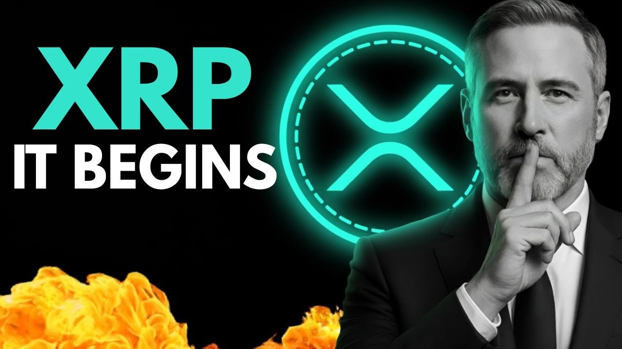 YouTube post by @jungleinc for Ledger. Caption reads: Ripple XRP: are you seeing what's happening ?.