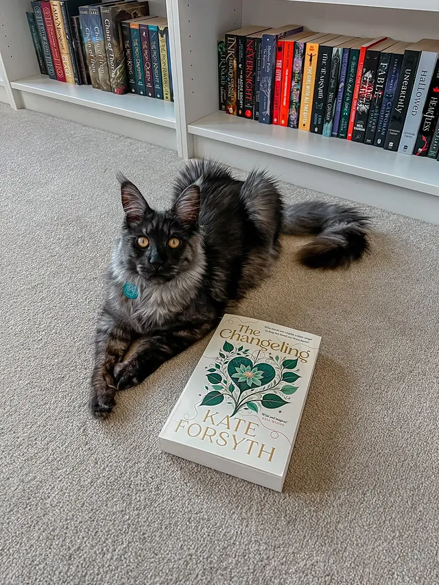 Instagram post by @catsandpaperbacks for Penguin Books. Caption reads: [...] and synopsis 🍃✨️ Thank you to....