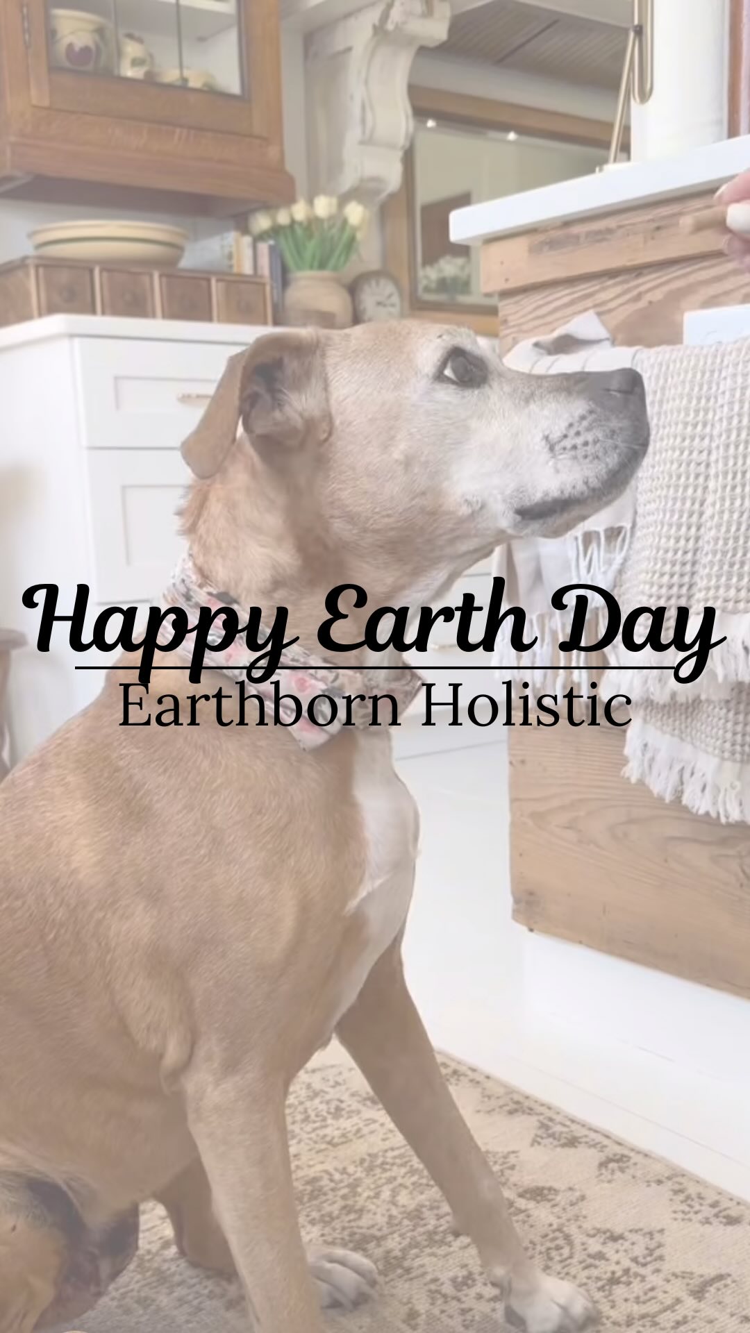 Instagram post by @debanddanelle for Earthborn Holistic Pet Food. Caption reads: Happy Earth Day!  We are celebrating this with....