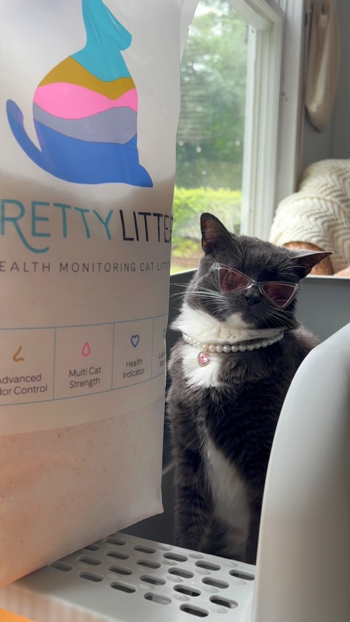 Instagram post by @lucilletherescuecat for Prettylitter. Caption reads: pretty girls use @prettylitter 💅😗✨

go to....
